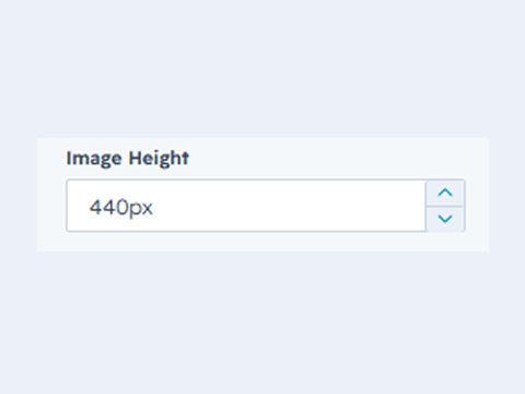 Image Height Options